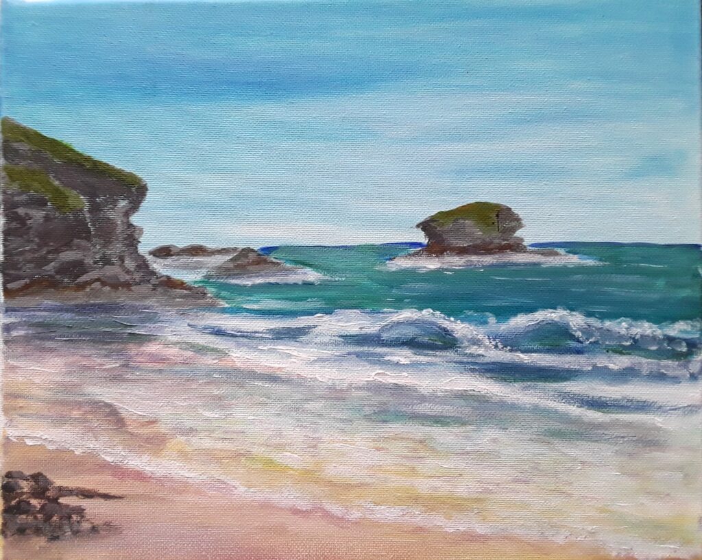 Cornwall Gull Rock Portreath original acrylic painting