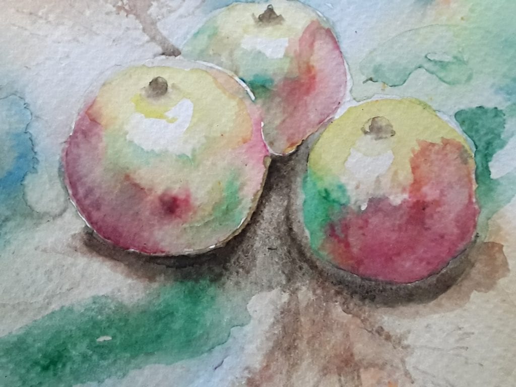 Watercolour of apples